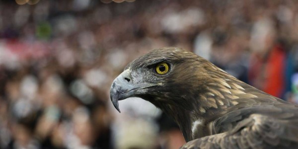 战术与激情的交汇：解密2023年欧冠决赛的背后故事